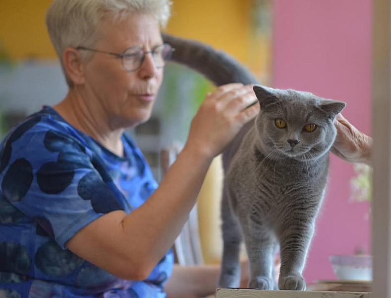 Kattenpraat