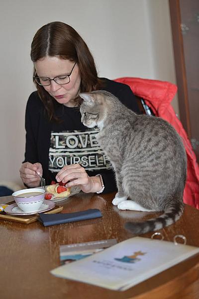 Kattenpraat