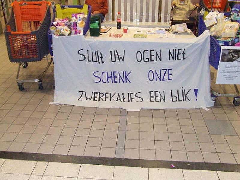 Kattenpraat