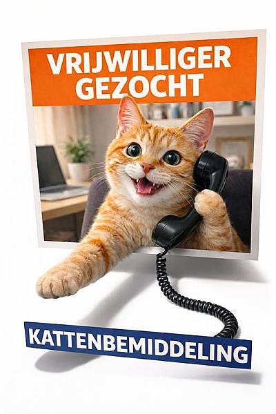 Kattenpraat