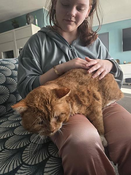 Kattenpraat