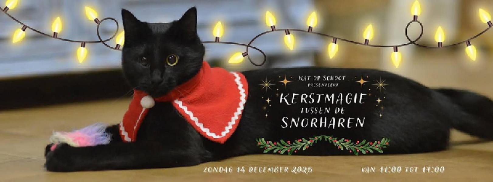 Kattenpraat