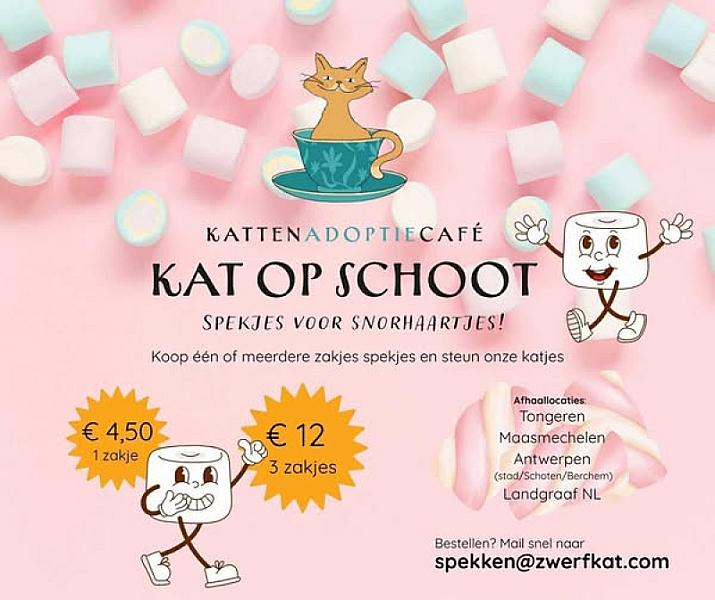 Kattenpraat