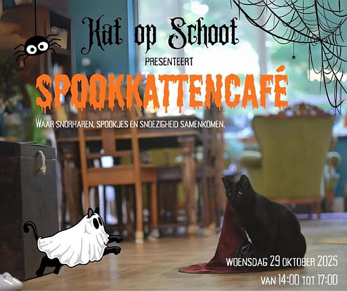 Kattenpraat
