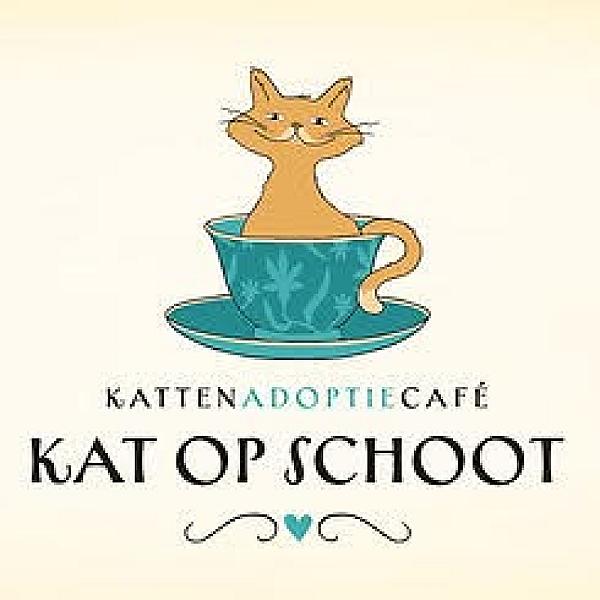 Kattenpraat