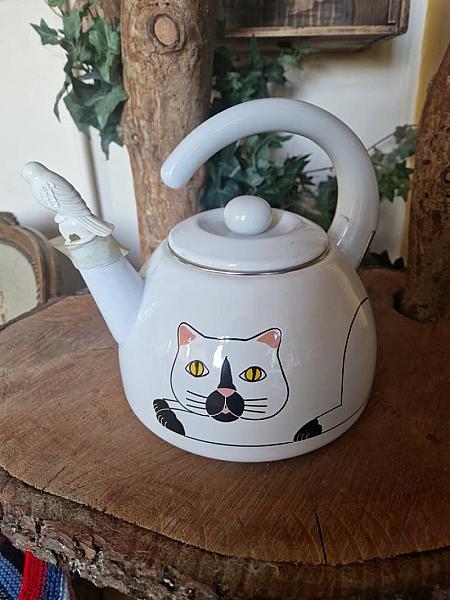 Kattenpraat