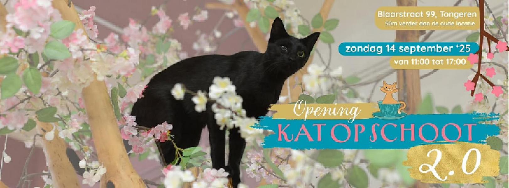 Kattenpraat