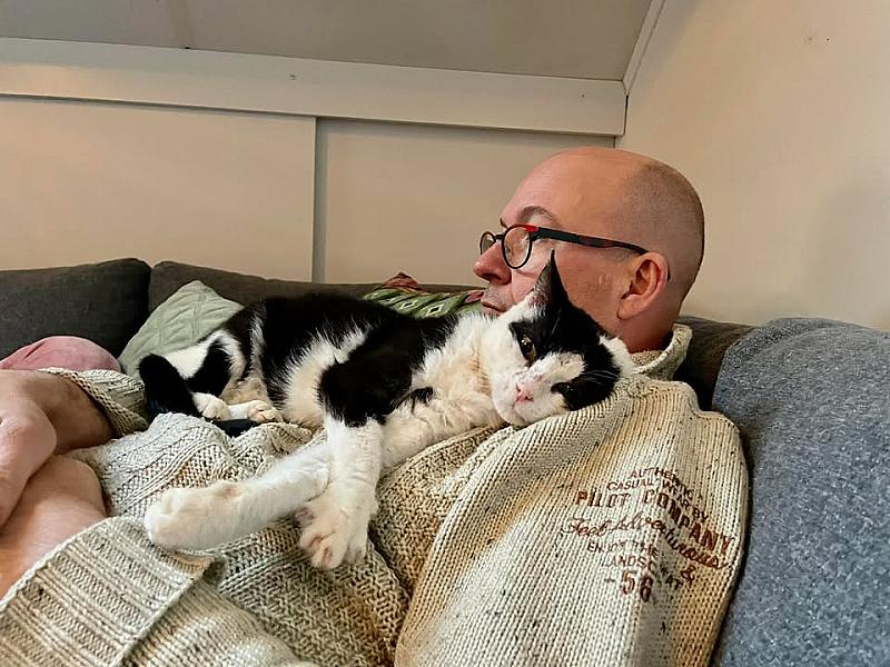 Kattenpraat