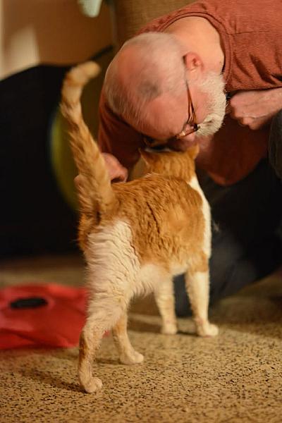 Kattenpraat