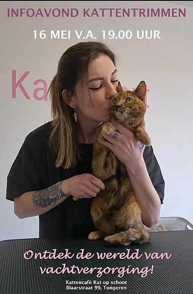 Kattenpraat