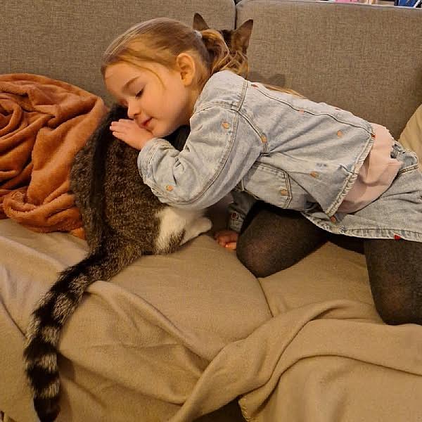 Kattenpraat