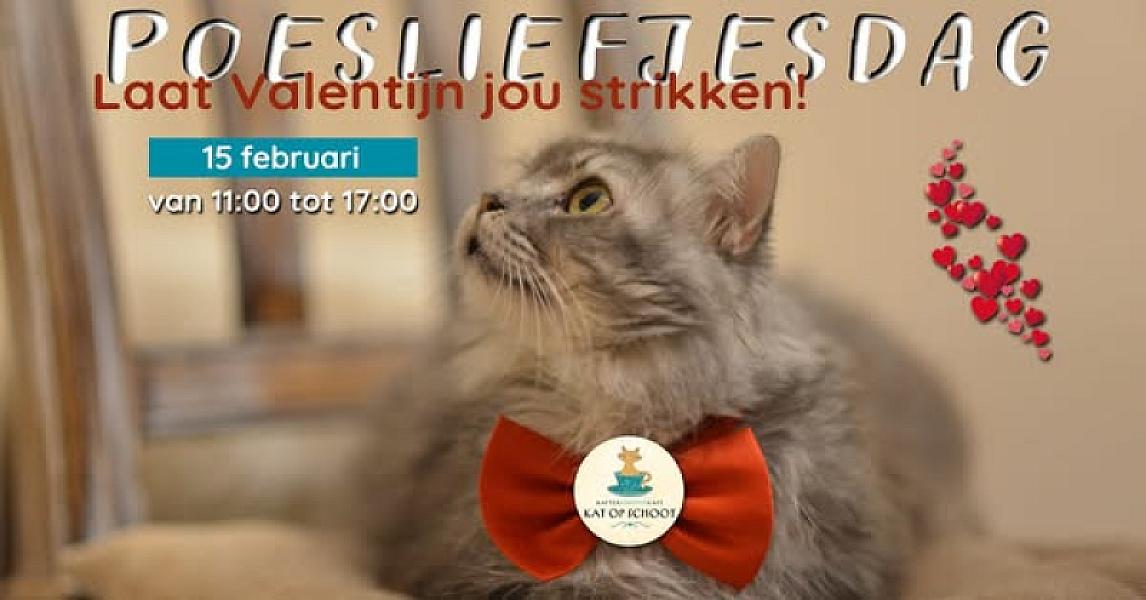 Kattenpraat