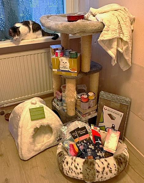 Kattenpraat