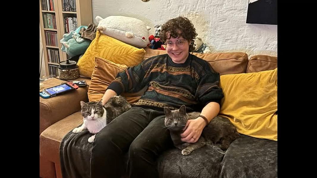 Kattenpraat