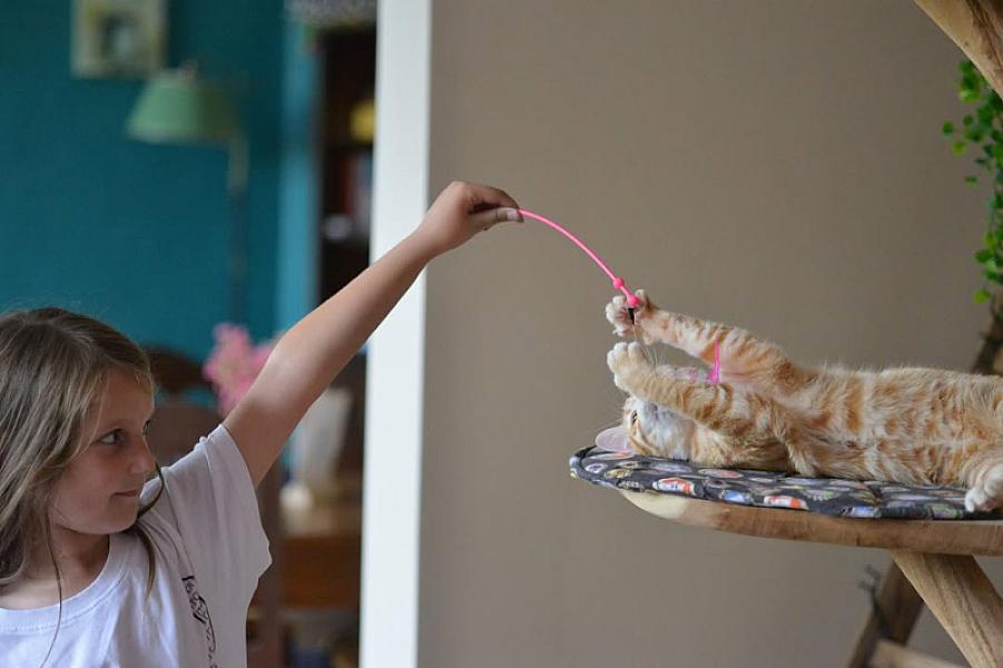 Kattenpraat