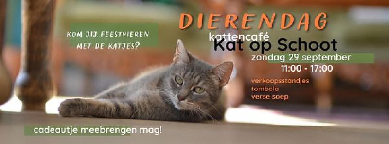 Kattenpraat