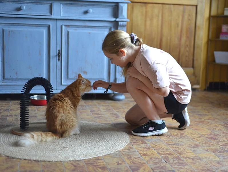 Kattenpraat