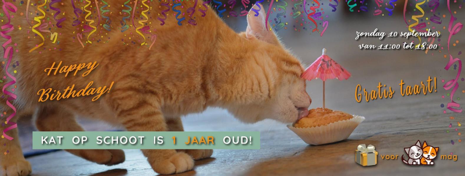 Kattenpraat