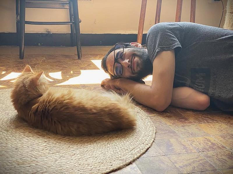 Kattenpraat