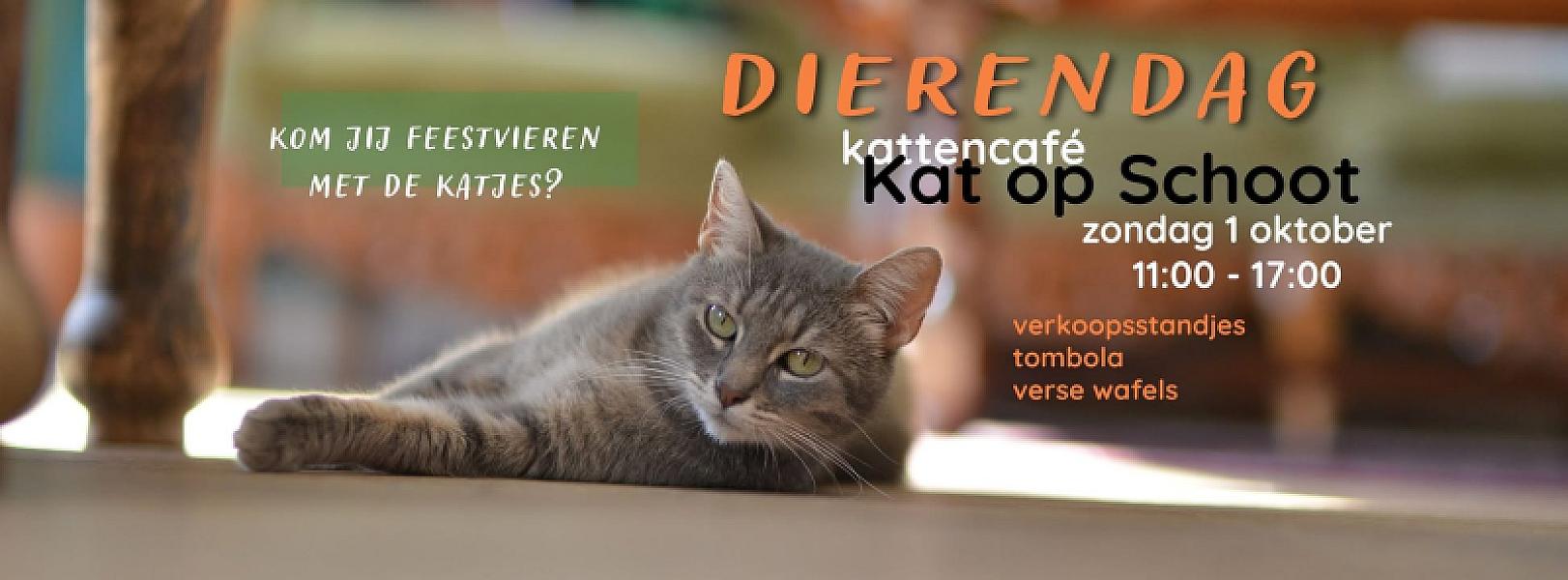 Kattenpraat