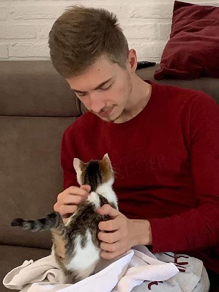 Kattenpraat