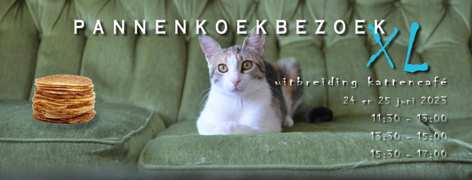 Kattenpraat