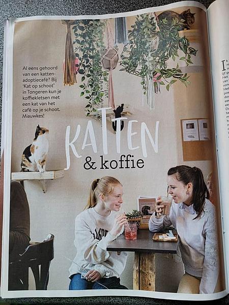 Kattenpraat