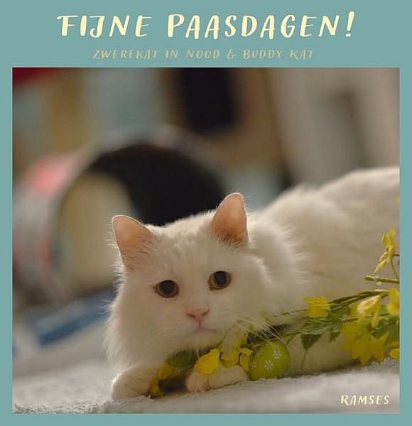 Kattenpraat