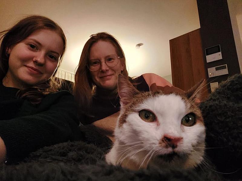 Kattenpraat