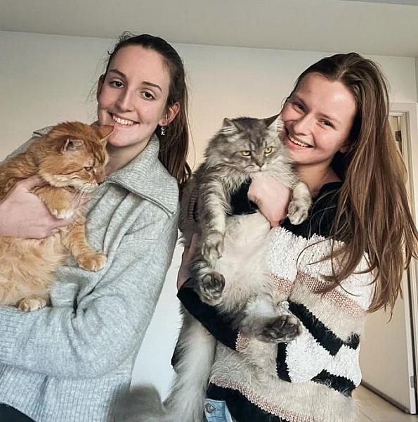 Kattenpraat