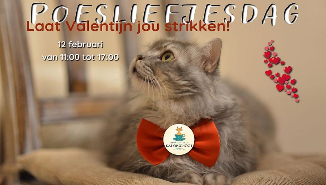 Kattenpraat