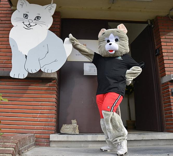 Kattenpraat