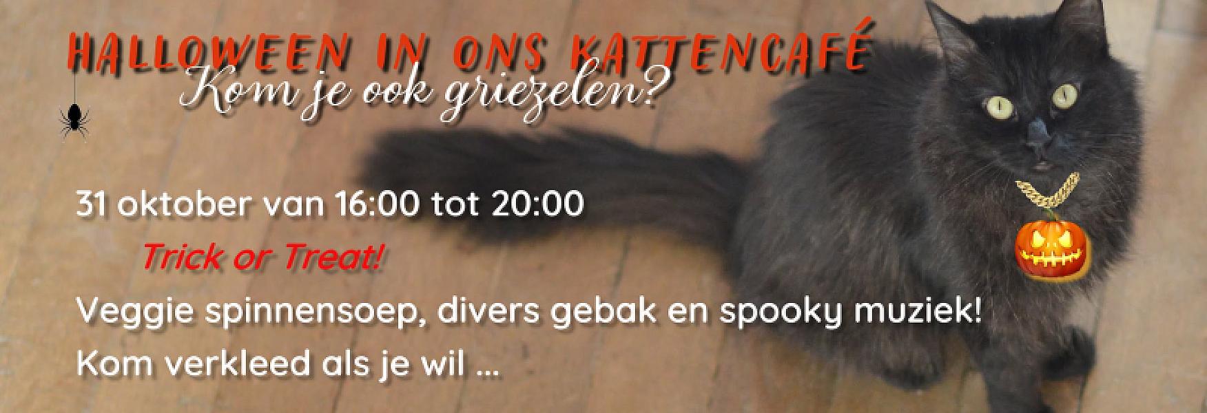 Kattenpraat
