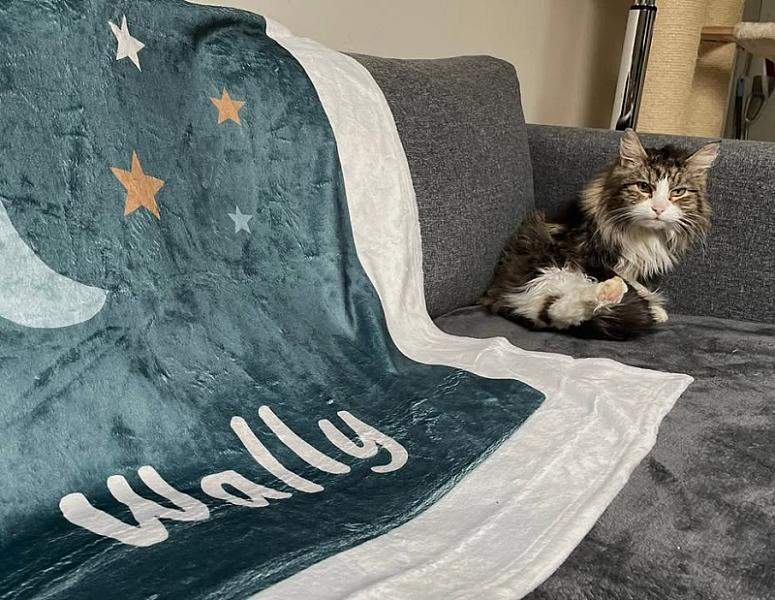 Kattenpraat