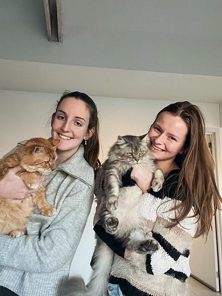 Kattenpraat