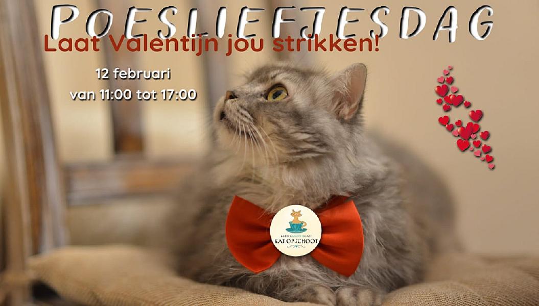 Kattenpraat