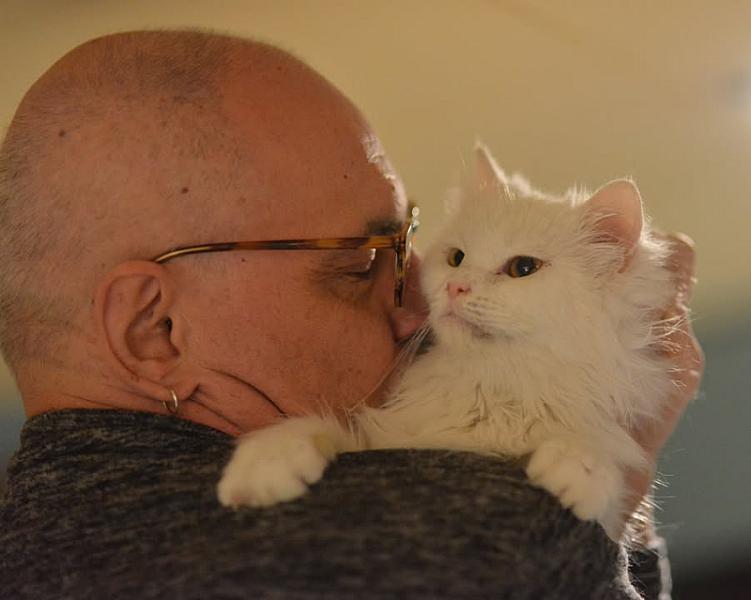 Kattenpraat