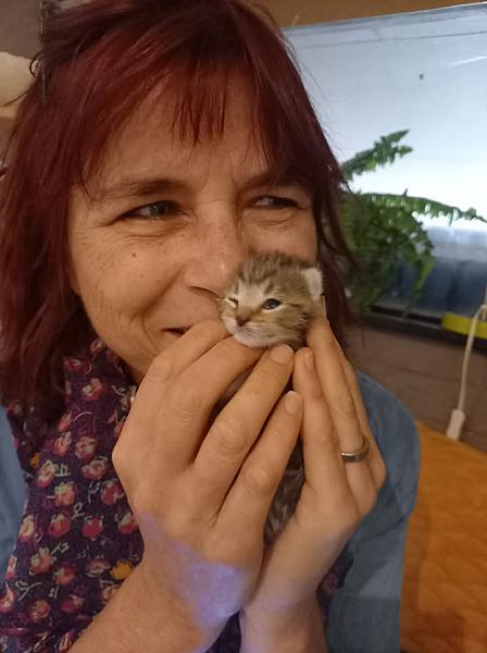 Kattenpraat