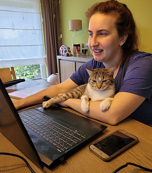 Kattenpraat