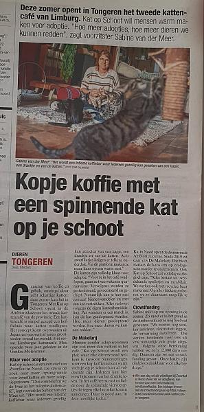 Kattenpraat