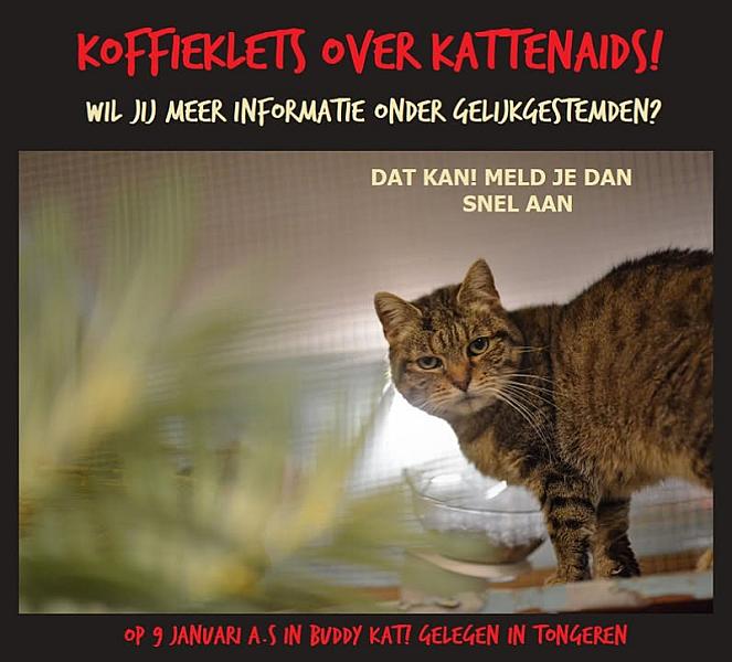 Kattenpraat