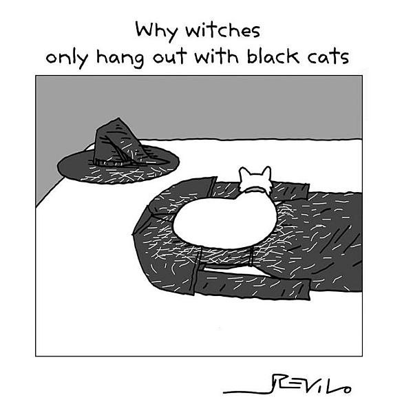 Kattenpraat