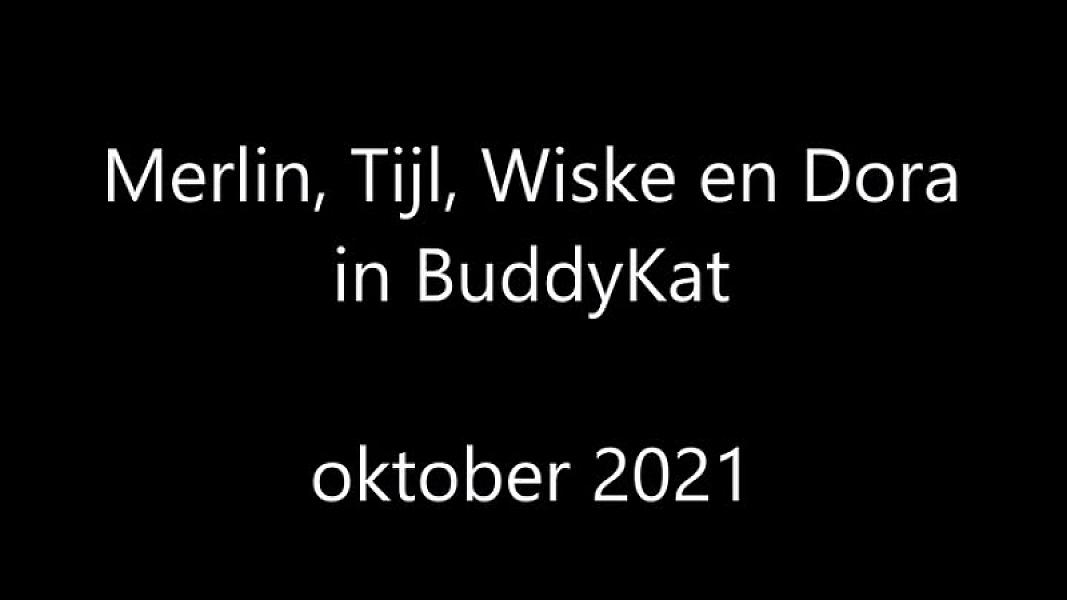 Kattenpraat