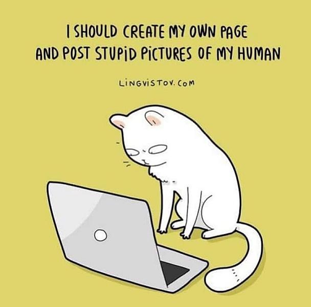 Kattenpraat