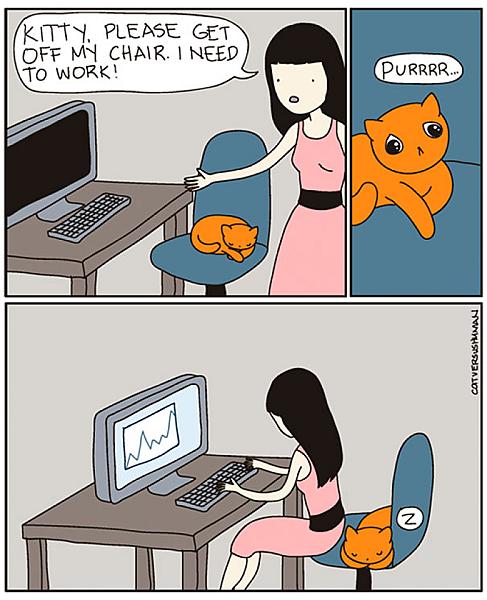 Kattenpraat