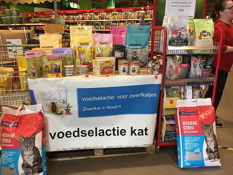 Kattenpraat