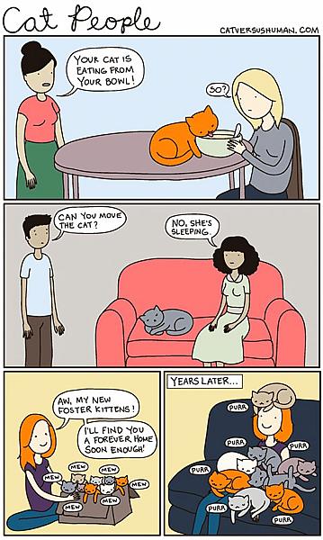 Kattenpraat