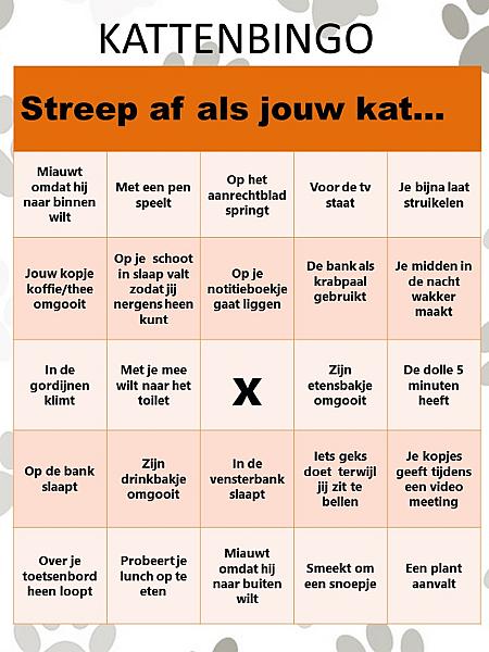Kattenpraat