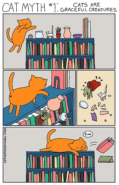 Kattenpraat