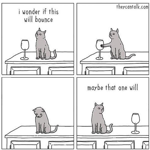 Kattenpraat